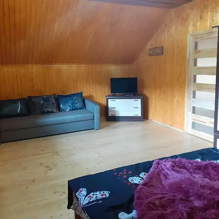 соколів камінь Novoselitsa (Zakarpattia)