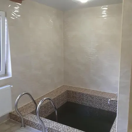 соколів камінь * Novoselitsa (Zakarpattia)