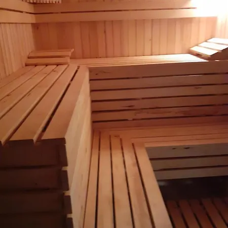 Ferienhaus соколів камінь Novoselitsa (Zakarpattia)