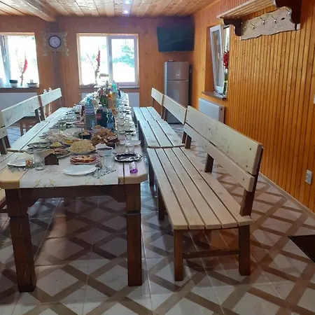 соколів камінь Novoselitsa (Zakarpattia)