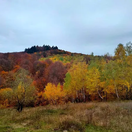 Ferienhaus соколів камінь Novoselitsa (Zakarpattia)