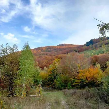 соколів камінь Novoselitsa (Zakarpattia)