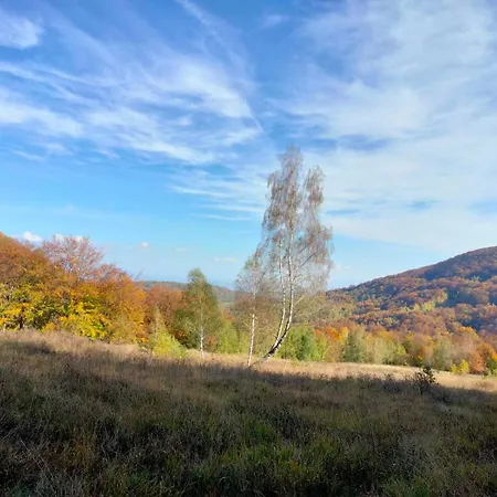 Ferienhaus соколів камінь *