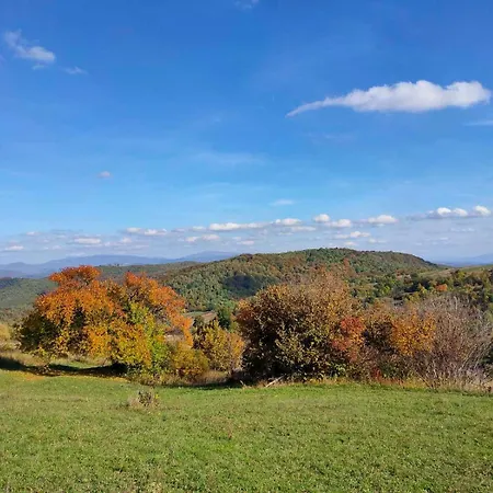 соколів камінь * Novoselitsa (Zakarpattia)