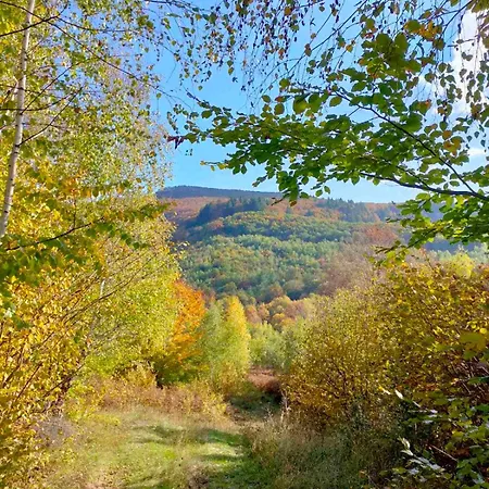 Дом отдыха соколів камінь