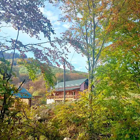 соколів камінь * Novoselitsa (Zakarpattia)