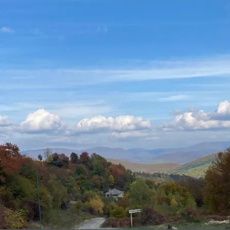 соколів камінь * Novoselitsa (Zakarpattia)