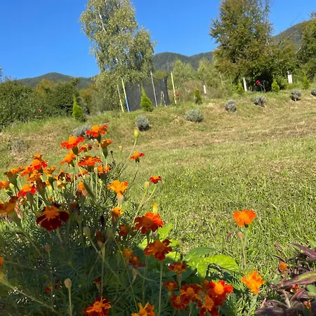 соколів камінь Дом отдыха