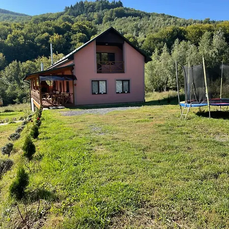 соколів камінь * Novoselitsa (Zakarpattia)
