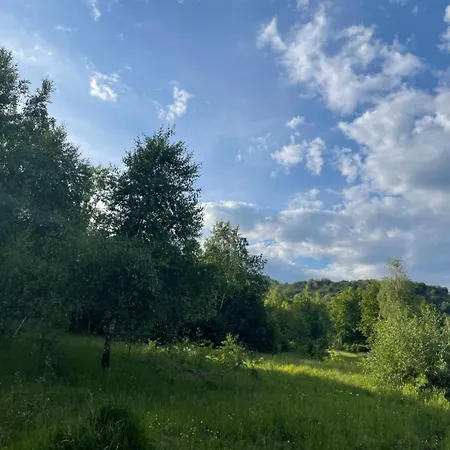 соколів камінь Novoselitsa (Zakarpattia)