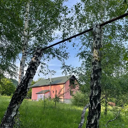 соколів камінь * Novoselitsa (Zakarpattia)