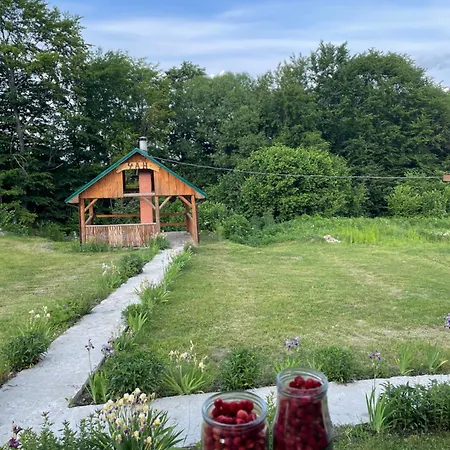 соколів камінь * Novoselitsa (Zakarpattia)