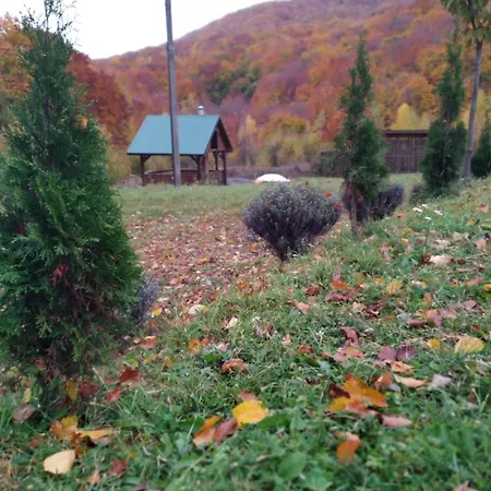 Дом отдыха соколів камінь *