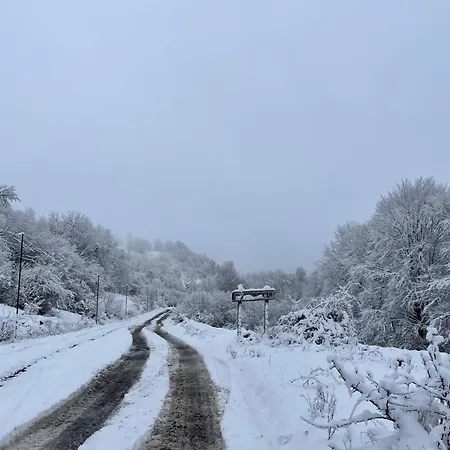 соколів камінь Дом отдыха *