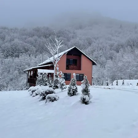 соколів камінь Ferienhaus Novoselitsa (Zakarpattia)