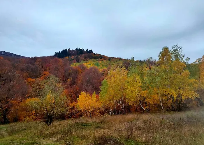 Holiday home соколів камінь Novoselitsa (Zakarpattia)