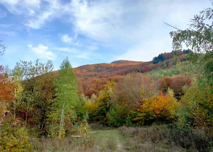 соколів камінь Novoselitsa (Zakarpattia)
