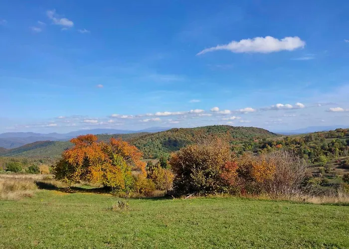 соколів камінь * Novoselitsa (Zakarpattia)