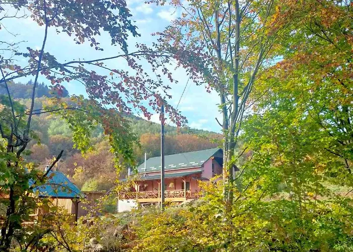соколів камінь * Novoselitsa (Zakarpattia)