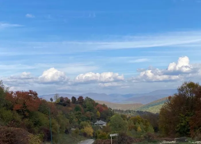 соколів камінь * Novoselitsa (Zakarpattia)