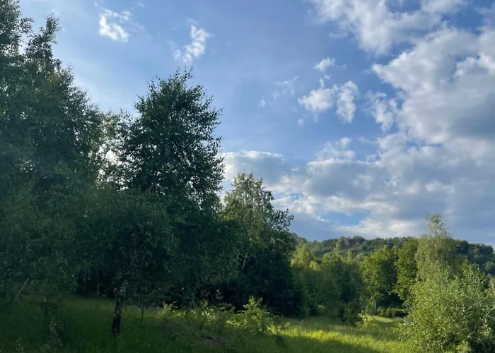 соколів камінь Novoselitsa (Zakarpattia)