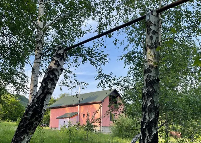соколів камінь * Novoselitsa (Zakarpattia)