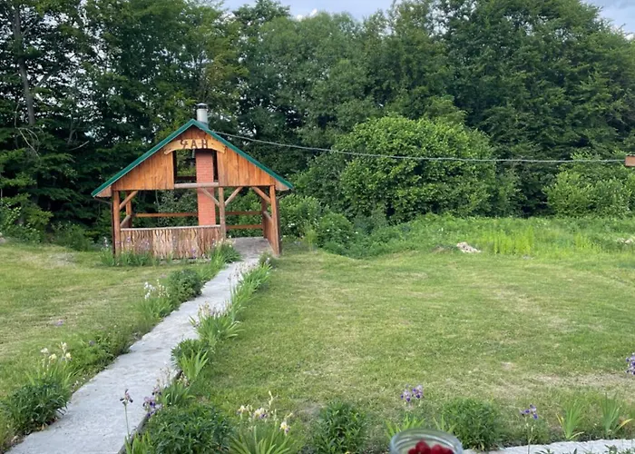 соколів камінь * Novoselitsa (Zakarpattia)