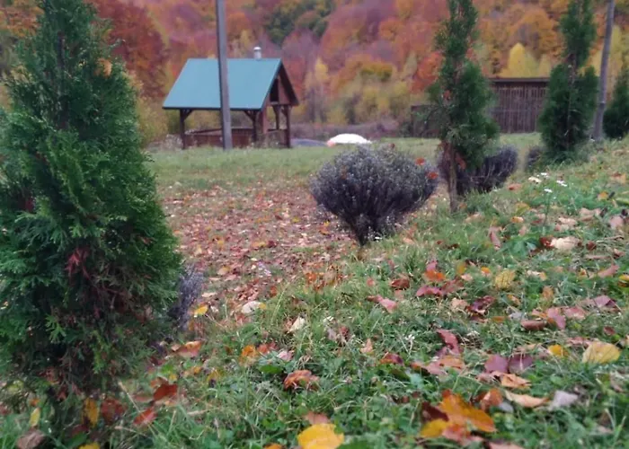 Holiday home соколів камінь *