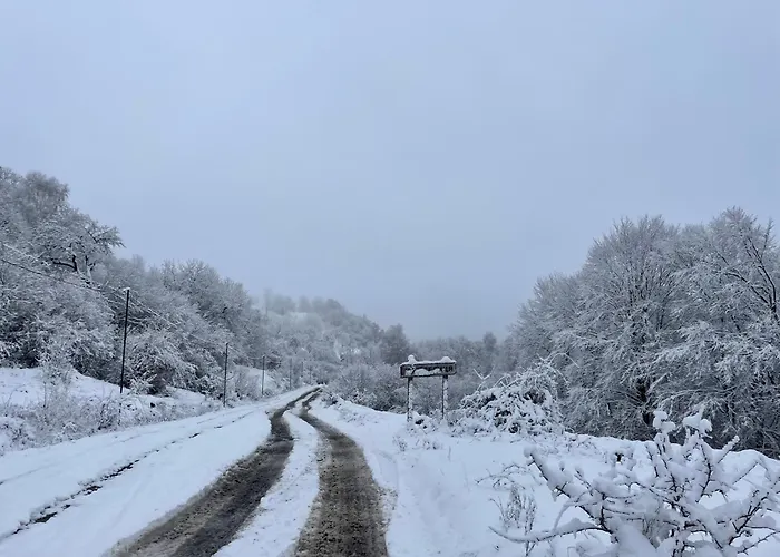 соколів камінь Holiday home *