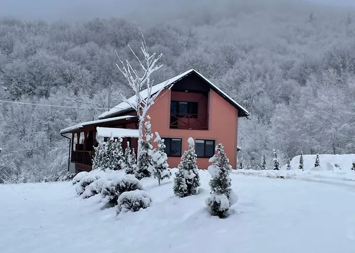 соколів камінь Holiday home Novoselitsa (Zakarpattia)